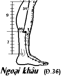 Huyệt Ngoại Khâu