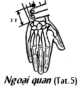 Huyệt Ngoại Quan