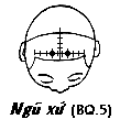 Huyệt Ngũ Xứ