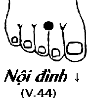 Huyệt Nội Đình