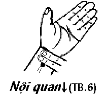 Huyệt Nội Quan