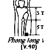 Huyệt Phong Long