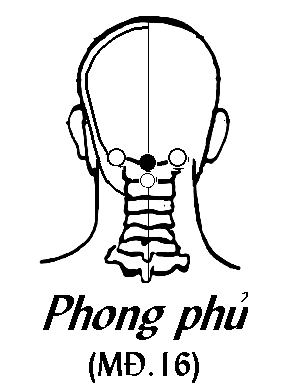 Huyệt Phong Phủ