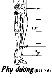 Huyệt Phụ Dương