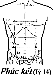 Huyệt Phúc Kết