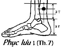 Huyệt Phục Lưu