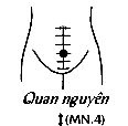 Huyệt Quan Nguyên