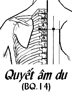 Huyệt Quyết Âm Du