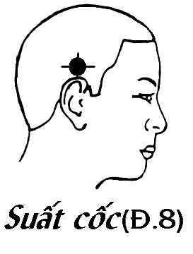 Huyệt Suất Cốc