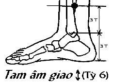 Huyệt Tam Âm Giao