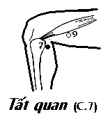 Huyệt Tất Quan