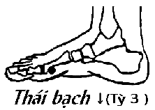 Huyệt Thái Bạch