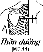 Huyệt Thần Đường