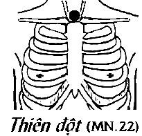 Huyệt Thiên Đột