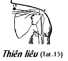 Huyệt Thiên Liêu