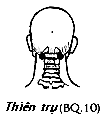 Huyệt Thiên Trụ