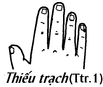 Huyệt Thiếu Trạch