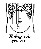 Huyệt Thông Cốc
