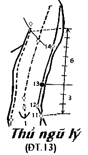 Huyệt Thủ Ngũ Lý
