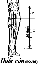 Huyệt Thừa Cân