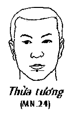 Huyệt Thừa Tương