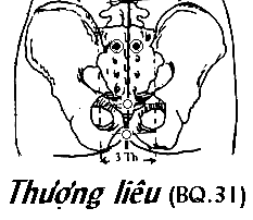 Huyệt Thượng Liêu
