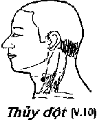 Huyệt Thủy Đột