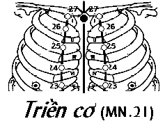 Huyệt Toàn Cơ