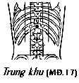 Huyệt Trung Khu