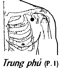 Huyệt Trung Phủ