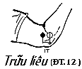 Huyệt Trửu Liêu