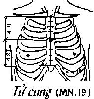 Huyệt Tử Cung