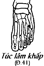 Huyệt Túc Lâm Khấp
