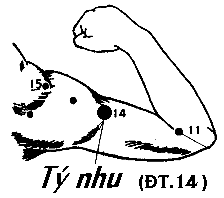 Huyệt Tý Nhu