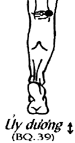 Huyệt Ủy Dương