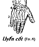 Huyệt Uyển Cốt