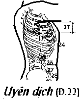 Huyệt Uyển Dịch