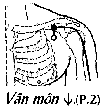 Huyệt Vân Môn